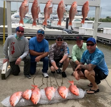 Red Snapper fishing in Freeport, Texas