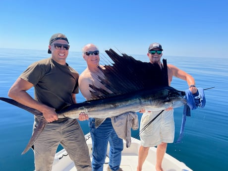 Sailfish Fishing in Pensacola, Florida