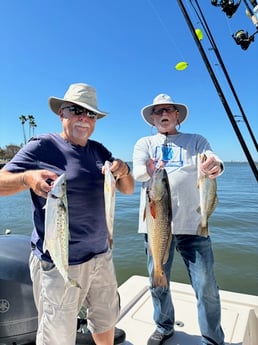 Fishing in Sarasota, Florida