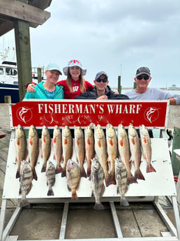 Black Drum, Redfish Fishing in Port Aransas, Texas