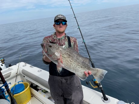 Red Snapper fishing in Pensacola, Florida