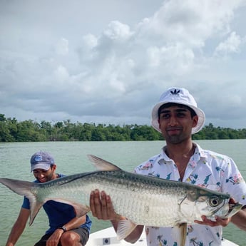 Tarpon fishing in San Juan, Puerto Rico