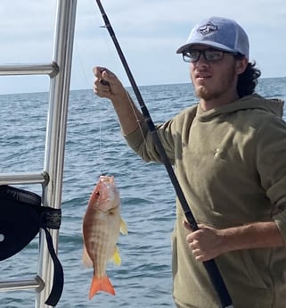 Lane Snapper fishing in Orange Beach, Alabama