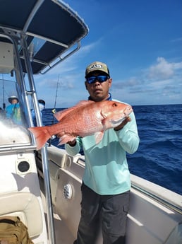 Red Snapper fishing in Clearwater, Florida