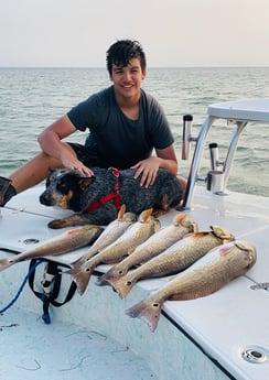 Redfish fishing in Port Isabel, Texas