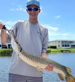 Alligator Gar fishing in Delray Beach, Florida