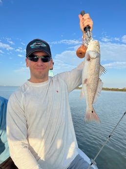 Redfish Fishing in Galveston, Texas