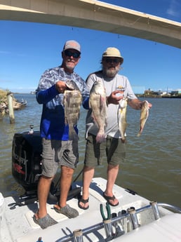 Black Drum, Grunt, Speckled Trout / Spotted Seatrout Fishing in Surfside Beach, Texas