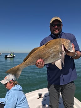 Black Drum fishing in League City, Texas