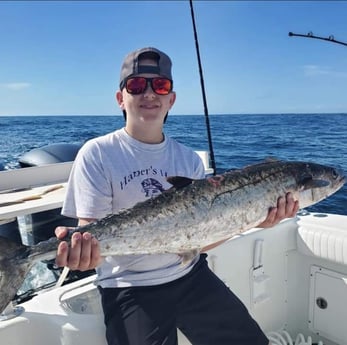 King Mackerel / Kingfish fishing in Port Orange, Florida