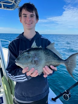 Triggerfish Fishing in Destin, Florida