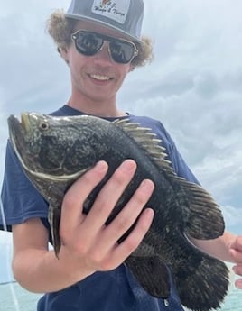 Tripletail Fishing in Sarasota, Florida