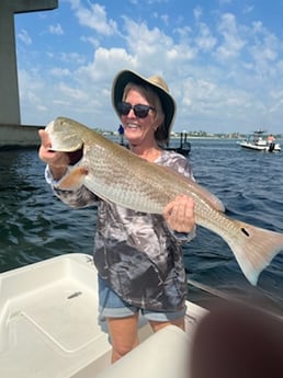 Redfish fishing in Orange Beach, Alabama