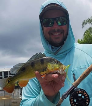 Peacock Bass fishing in Delray Beach, Florida