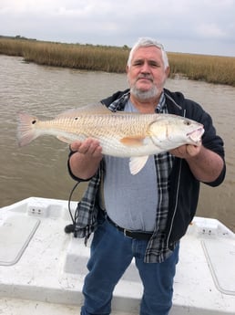 Redfish fishing in Surfside Beach, Texas