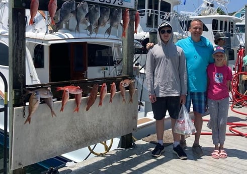 Scup, Triggerfish, Vermillion Snapper Fishing in Destin, Florida