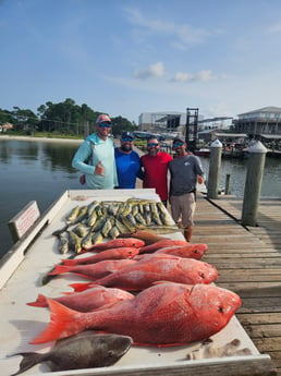 Fishing in Gulf Shores, Alabama