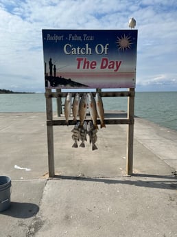 Redfish fishing in Rockport, Texas