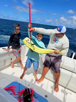 Mahi Mahi / Dorado fishing in Rockport, Texas