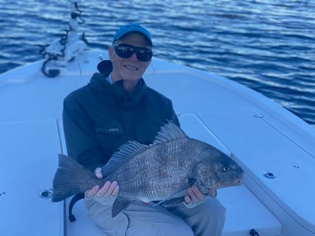 Black Drum Fishing in Jacksonville Beach, Florida