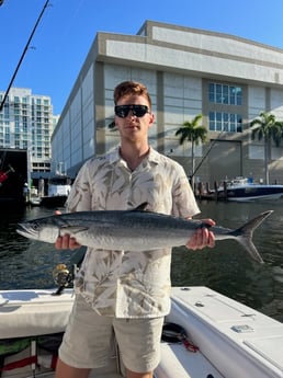 Kingfish Fishing in Fort Lauderdale, Florida