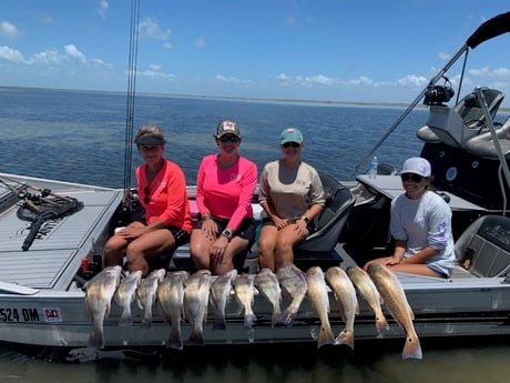 Black Drum, Redfish fishing in Rockport, Texas