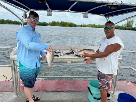 Mangrove Snapper Fishing in