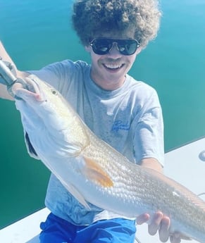 Redfish Fishing in Sarasota, Florida