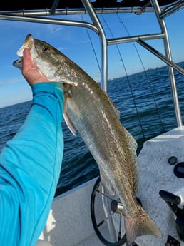 Fishing in Gulf Shores, Alabama