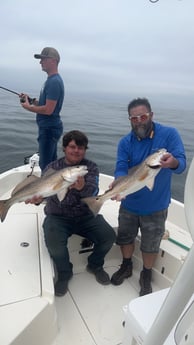 Redfish Fishing in Pensacola, Florida