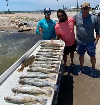 Flounder, Redfish, Speckled Trout / Spotted Seatrout fishing in Galveston, Texas