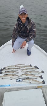 Speckled Trout / Spotted Seatrout fishing in Galveston, Texas