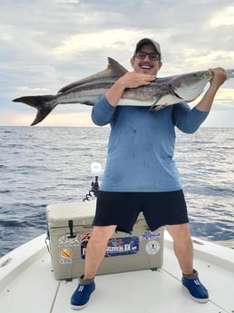 Cobia fishing in Mount Pleasant, South Carolina