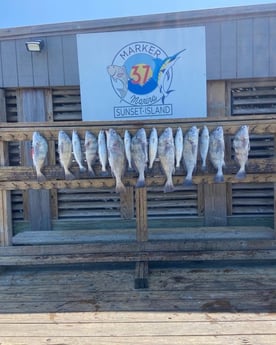 Redfish fishing in Port Aransas, Texas