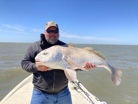 Black Drum fishing in Rockport, Texas