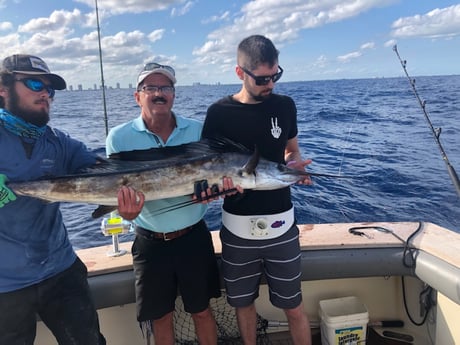 Sailfish fishing in West Palm Beach, Florida