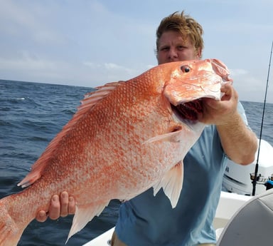 Red Snapper fishing in Port Aransas, Texas