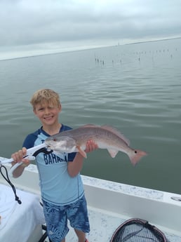 Speckled Trout / Spotted Seatrout fishing in South Padre Islands, Texas