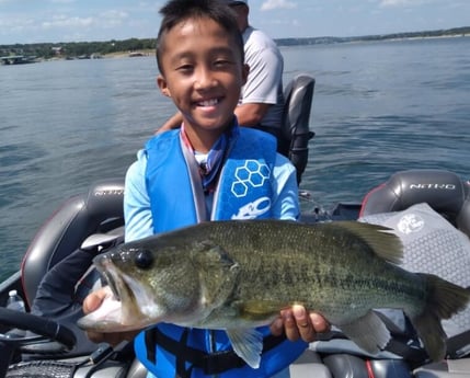 Largemouth Bass fishing in Austin, Texas