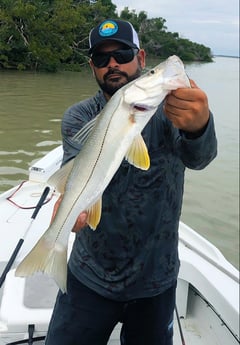 Snook fishing in Tavernier, Florida