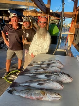 Black Drum, Speckled Trout Fishing in South Padre Island, Texas