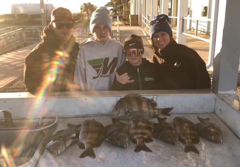 Sheepshead Fishing in Galveston, Texas