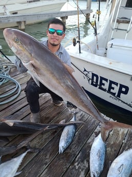 Amberjack fishing in Port Isabel, Texas