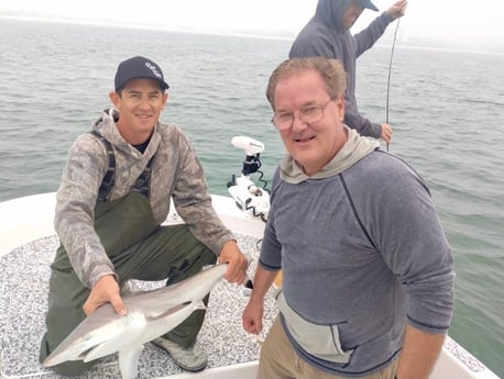 Blacktip Shark Fishing in Sarasota, Florida