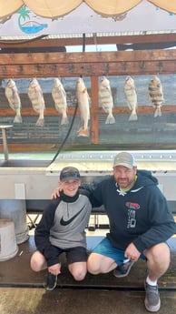 Black Drum Fishing in South Padre Island, Texas