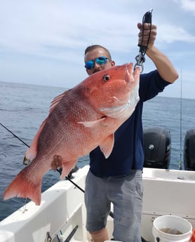 Red Snapper Fishing in Jacksonville, Florida