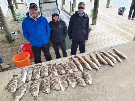 Black Drum, Redfish, Sheepshead Fishing in Port O&#039;Connor, Texas