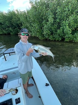 Tarpon Fishing in Key Largo, Florida