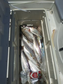 Fishing in Rockport, Texas