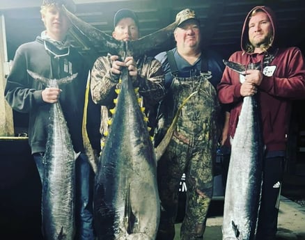 King Mackerel / Kingfish, Yellowfin Tuna Fishing in Venice, Louisiana